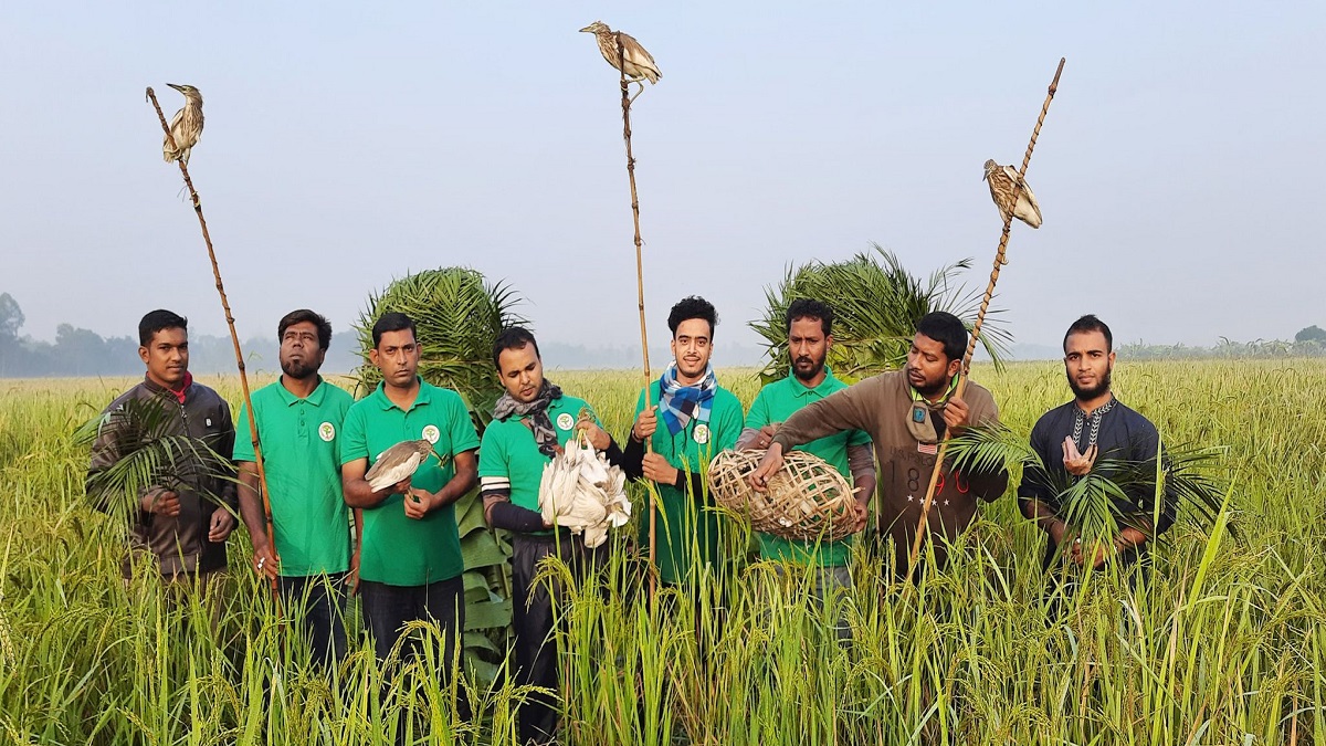 চলনবিলে ২০টি সাদা বক অবমুক্ত