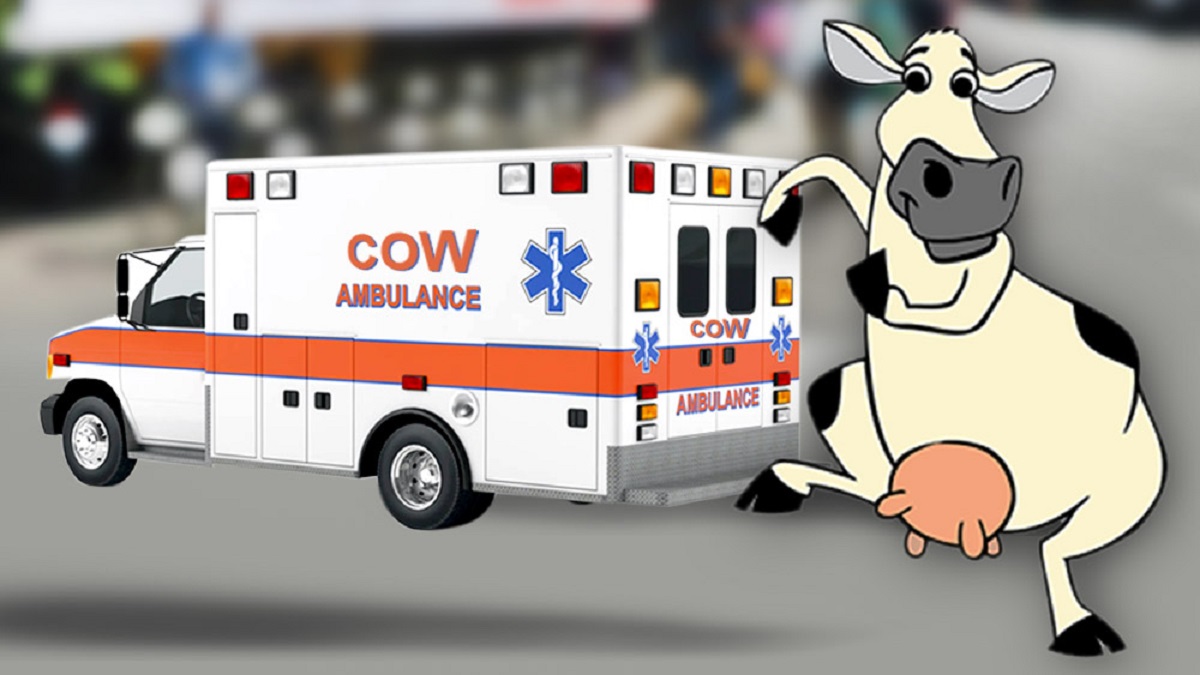 গরুর অ্যাম্বুলেন্স চালু হচ্ছে উত্তরপ্রদেশে, জরুরি সেবার নাম্বারসহ হচ্ছে কল সেন্টারও