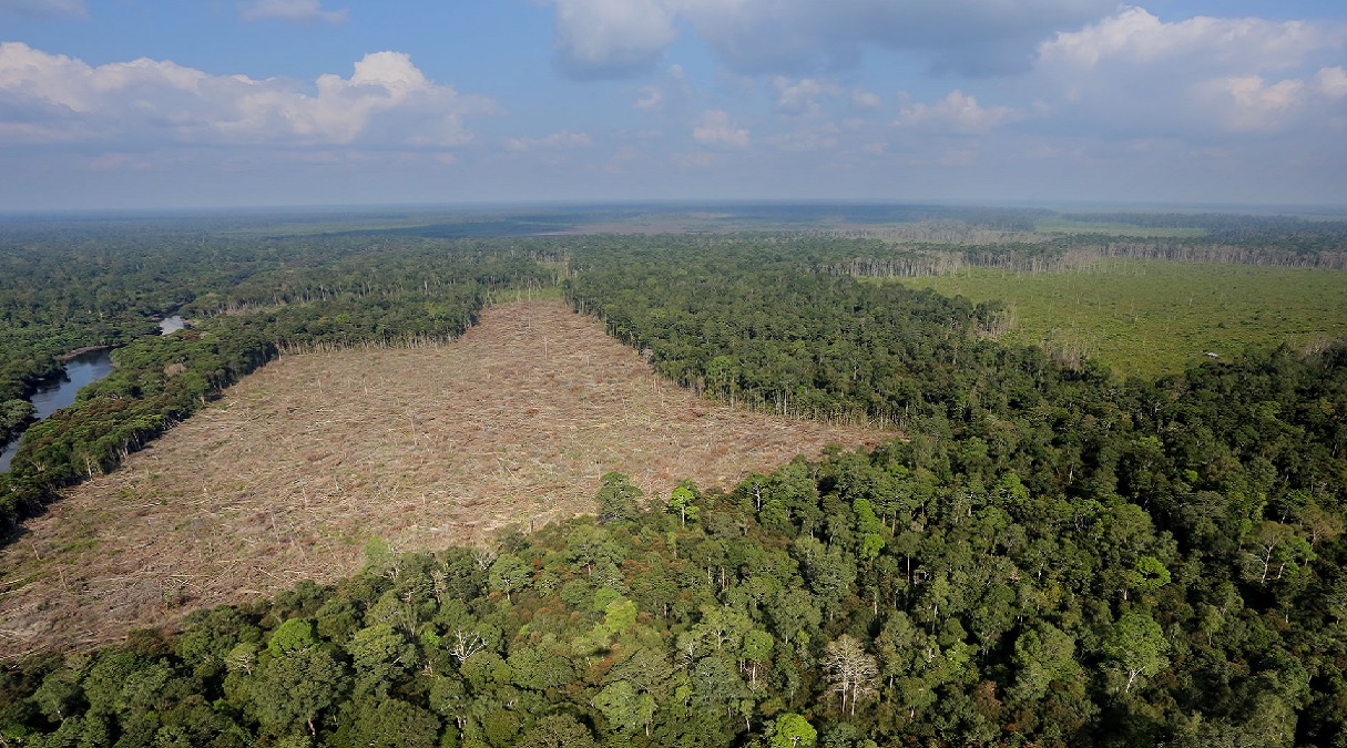 সরকার চায় হীরে, গ্রামবাসী চায় বন ও জীবন