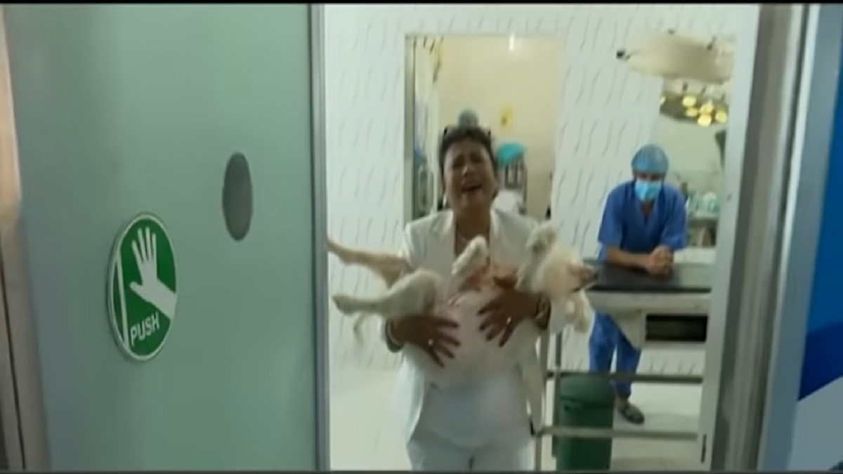 সাত ডাক্তারের ৩ ঘণ্টার চেষ্টাতেও বাঁচানো গেলোনা ‘লিনিস’কে