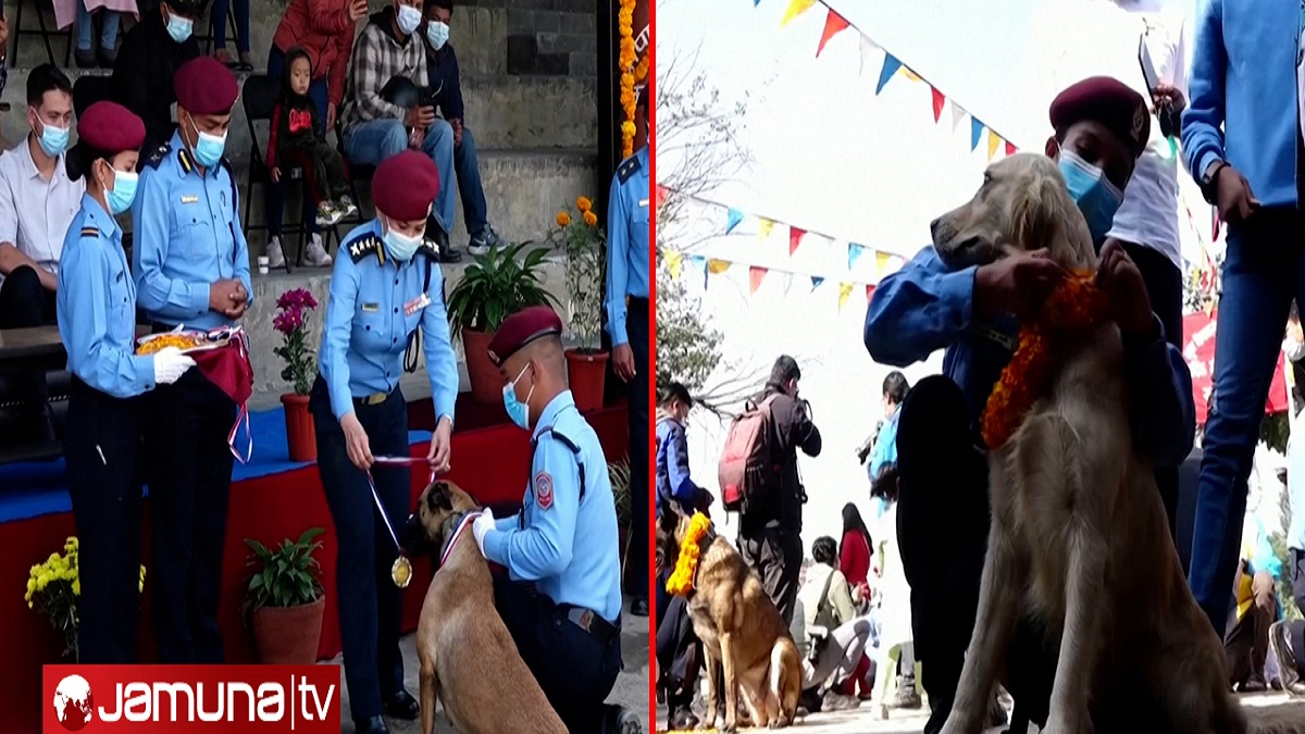 মেডেল, মালা পড়িয়ে কুকুরকে দেয়া হচ্ছে সংবর্ধনা