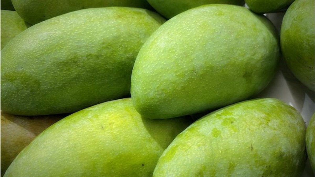 ফজলি তুমি কার; চাঁপাই না রাজশাহীর?