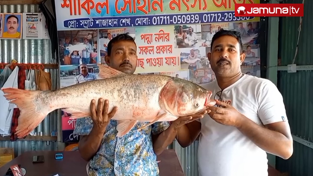বেশি দামে কেনা মাছগুলো আসলেই কি পদ্মার?