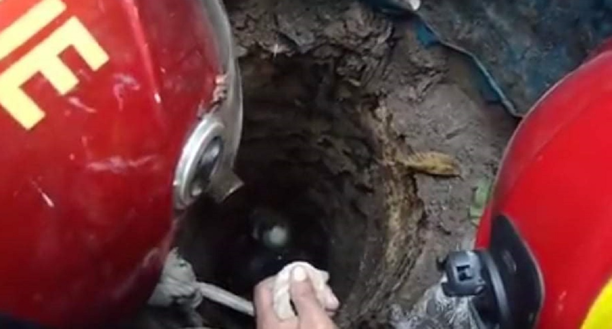 গাইবান্ধায় সেপটিক ট্যাংকে পড়ে গৃহবধূর মৃত্যু