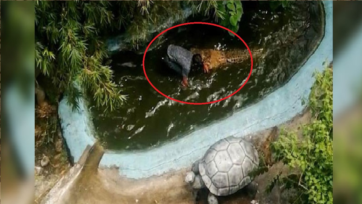 নকল কুমিরের সাথে সেলফি তুলতে গিয়ে টেনে নিয়ে গেলো আসল কুমির