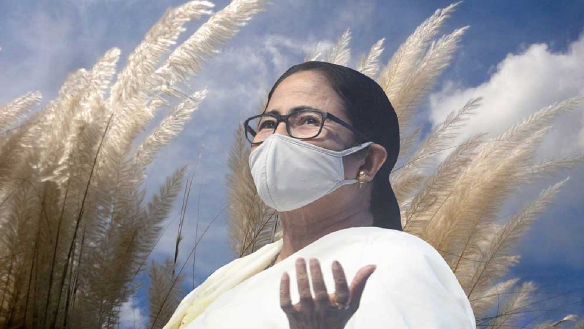 বালিশে তুলার বদলে কাশফুল! পশ্চিমবঙ্গে কি উঁকি দিচ্ছে নতুন সম্ভাবনা?