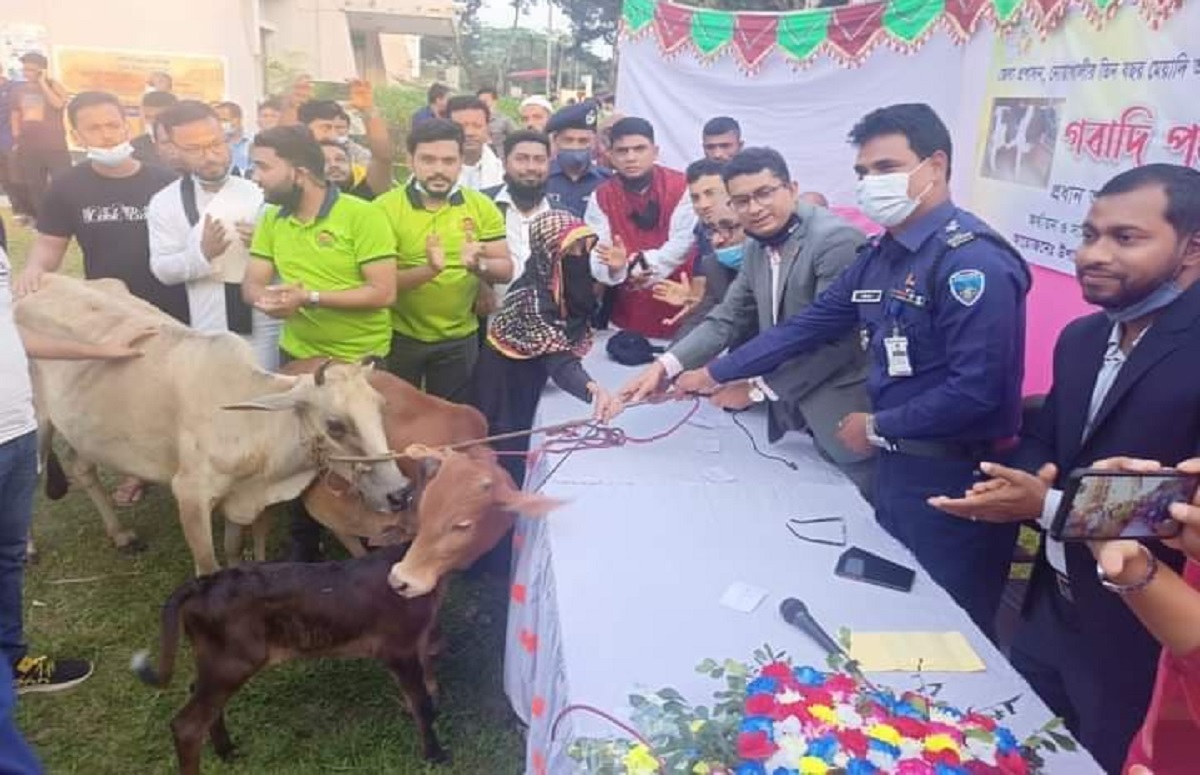 গবাদিপশু পেলো নোয়াখালীর ৫ ভিক্ষুক পরিবার