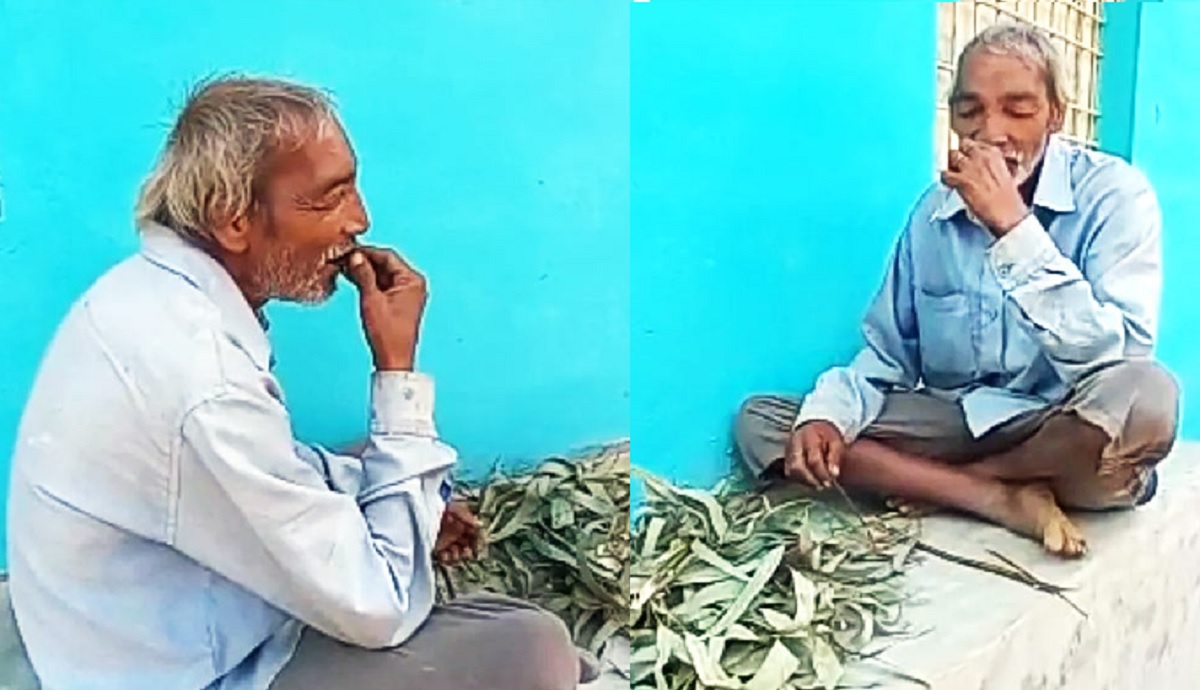 ভাত-রুটি নয়, ১০ বছর ধরে খাচ্ছেন শুধু ঘাস-কাঠ!