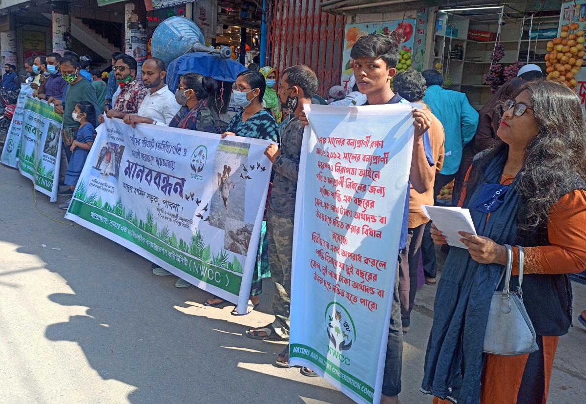 বন্যহাতি হত্যার প্রতিবাদে পাবনায় মানববন্ধন