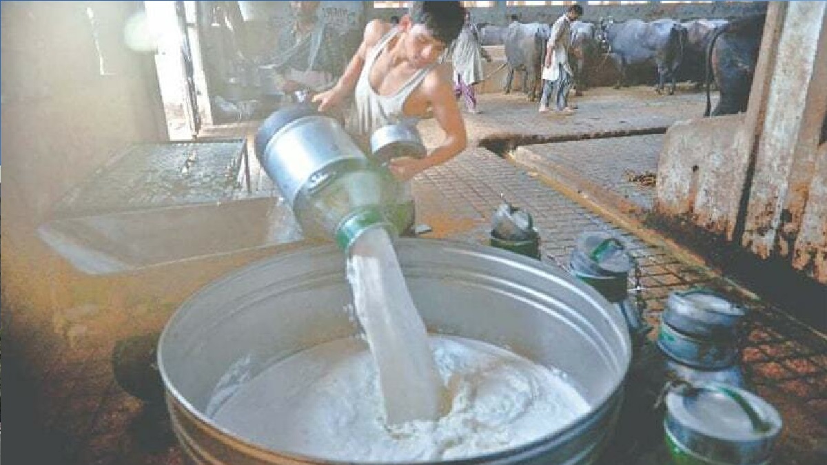 পাকিস্তানে দুধের লিটার ১৪০ রুপি!