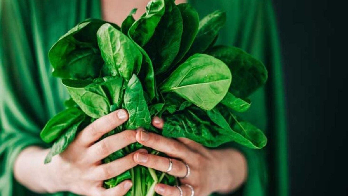 ক্যানসারসহ যে পাঁচ রোগের মহৌষধ পালংশাক