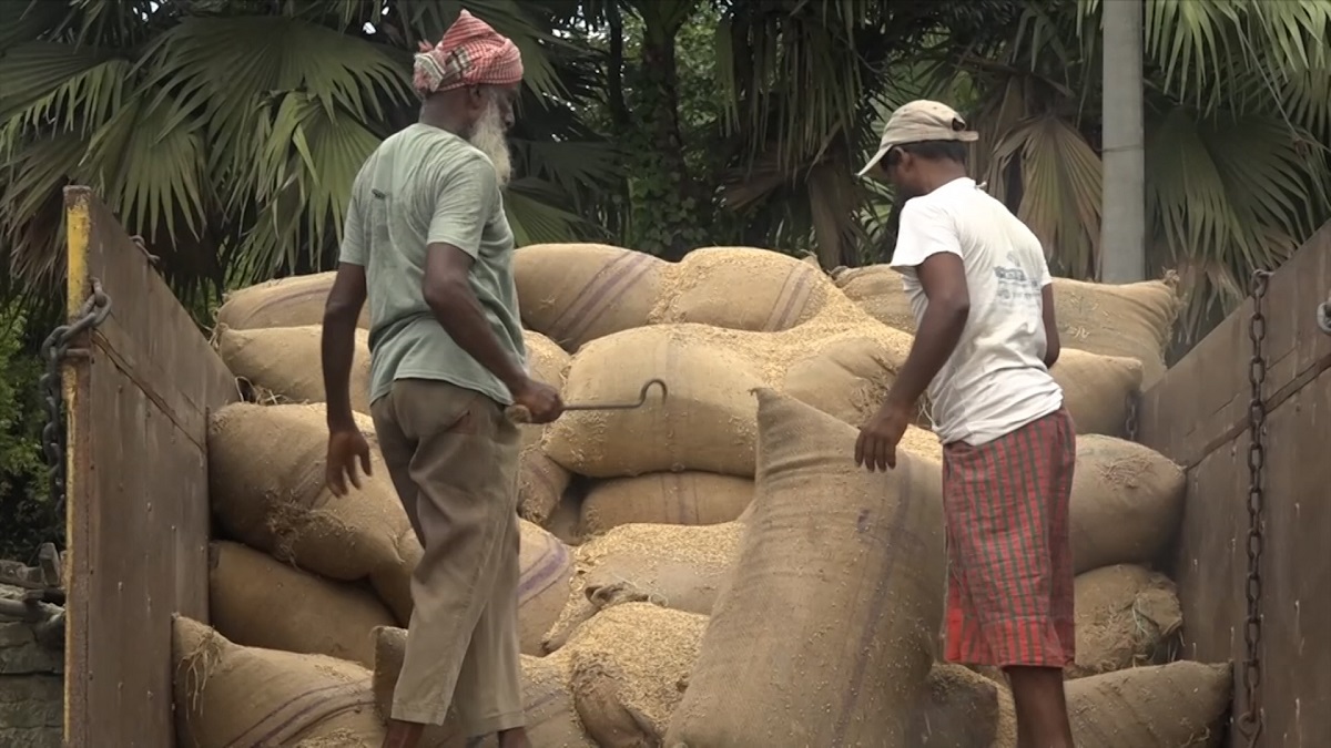 নতুন ধানের বাজারদর নিয়ে শঙ্কা