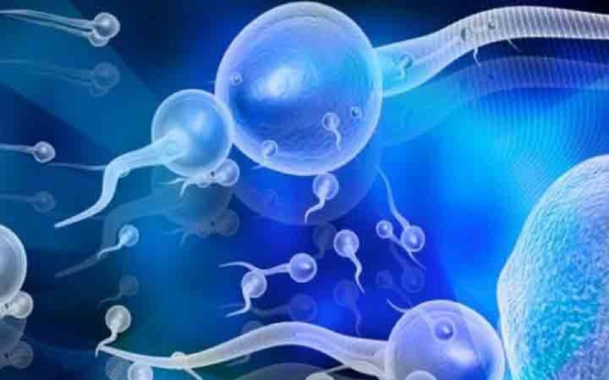 প্রতিদিন যে কাজগুলো করলে আপনার সন্তান উৎপাদন ক্ষমতা কমবে