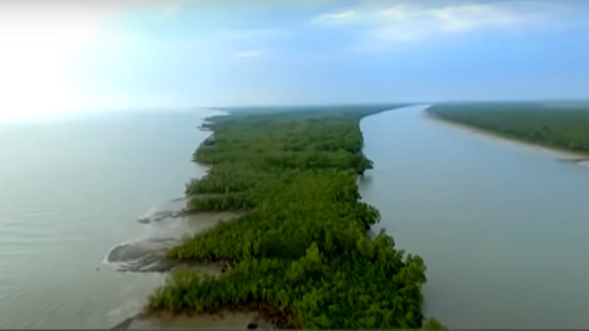 সুন্দরবন এলাকায় ভারতীয় ডাকাতের গুলিতে জেলে নিহত, মালামাল লুট