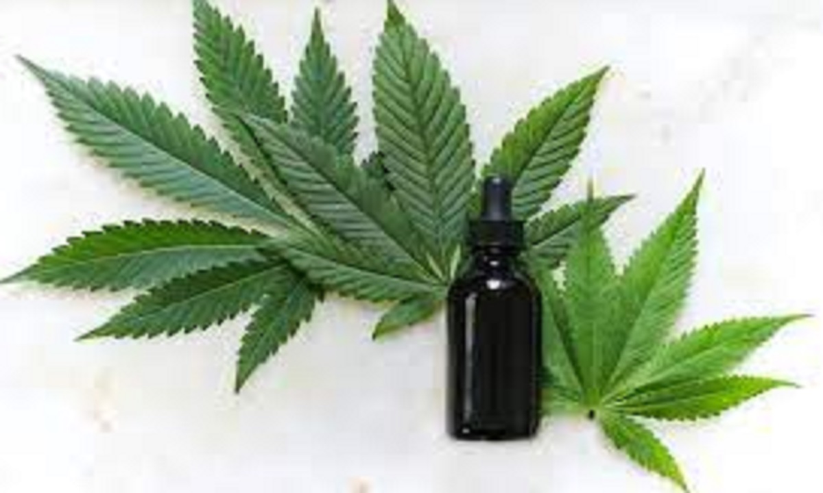 গাঁজা গাছ থেকে তৈরি হতে পারে শিশুদের খিঁচুনির ওষুধ : গবেষণা