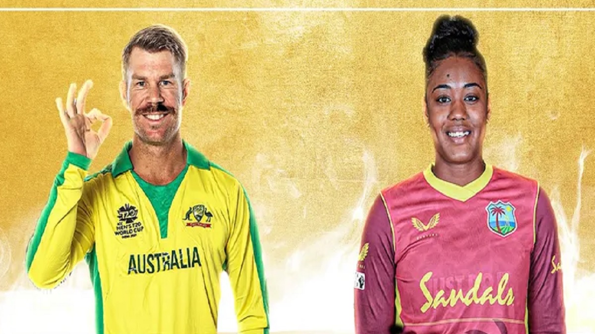 নভেম্বর মাসের সেরা ক্রিকেটার ওয়ার্নার ও ম্যাথিউজ