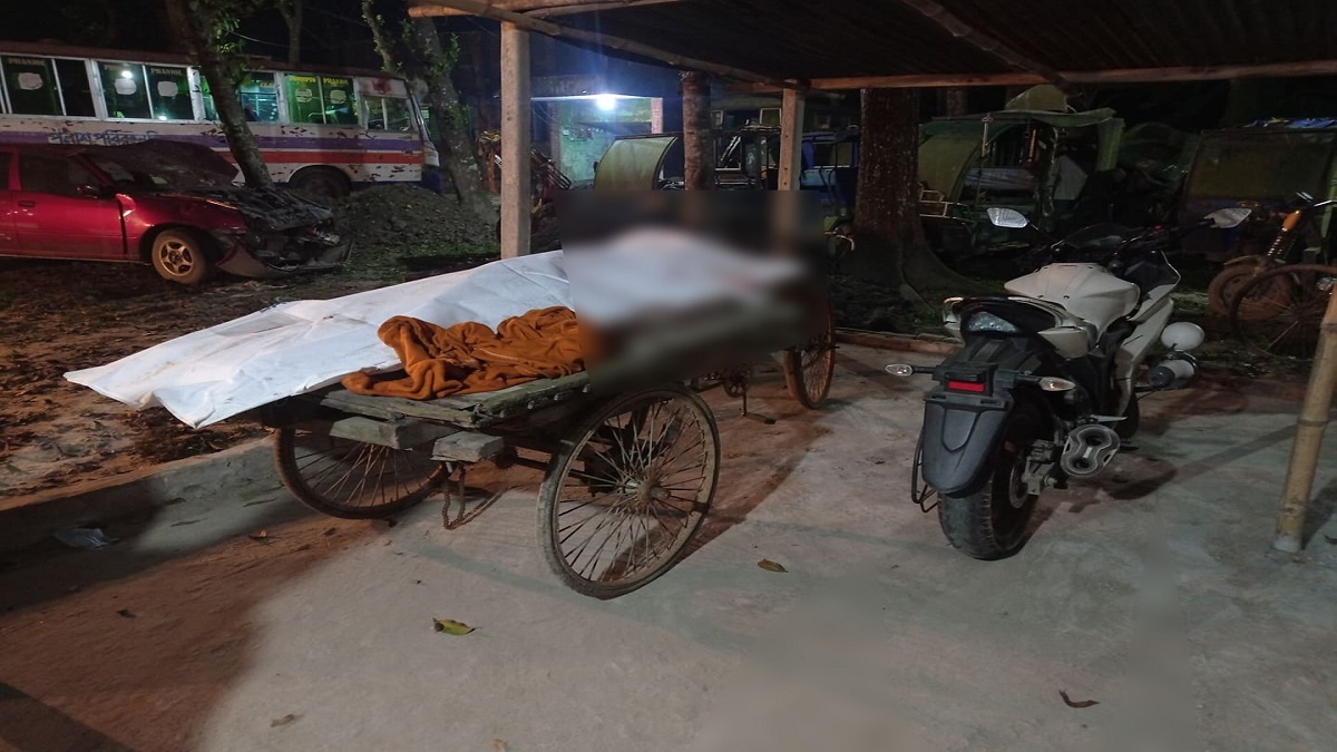 মানিকগঞ্জে সড়ক দুর্ঘটনায় নিহত ২