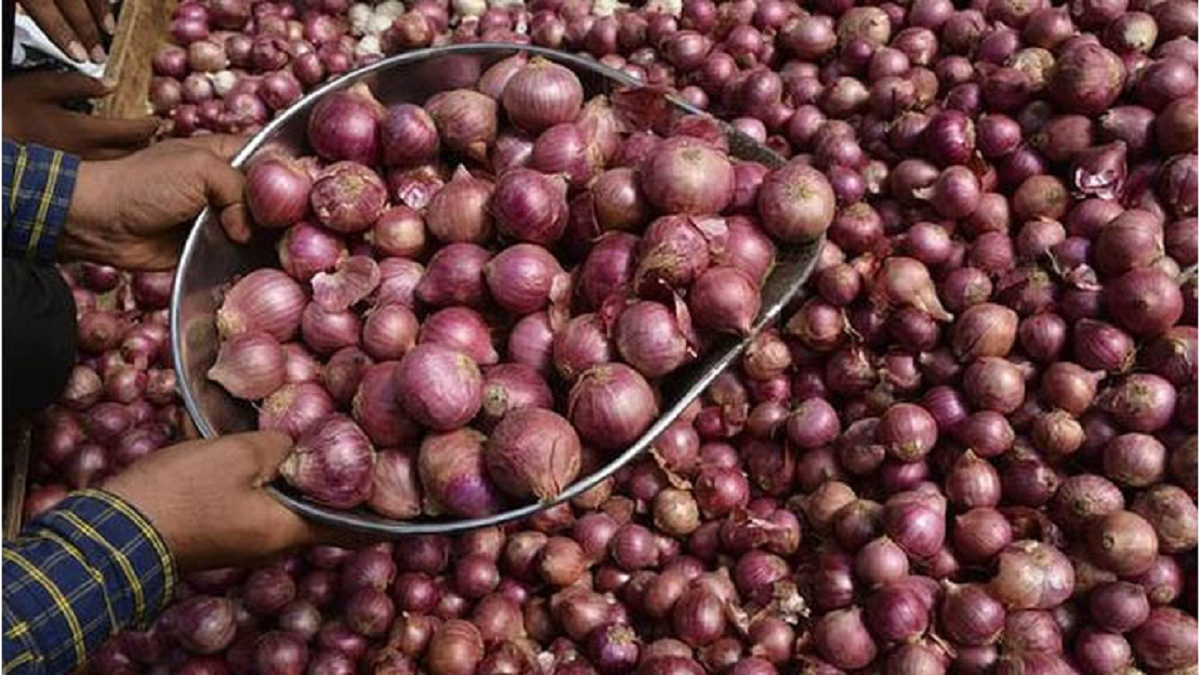 মানিকগঞ্জে পাইকারি আড়তে কমছে পেঁয়াজের দাম