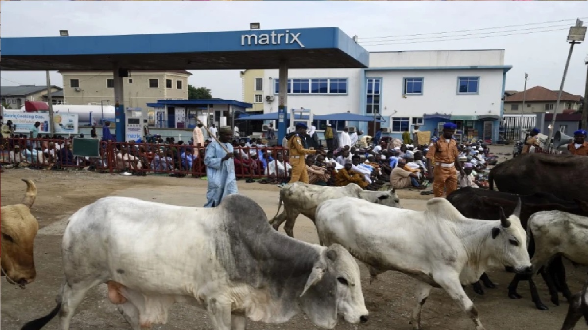 নাইজেরিয়ায় কৃষক ও পশুপালকদের মধ্যে সংঘর্ষে নিহত ৪৫