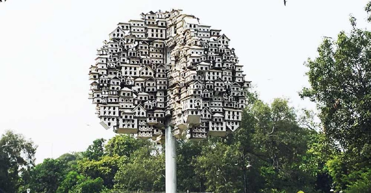 শহরের প্রাণকেন্দ্রে এক খুঁটিতে হাজার হাজার পাখির বাসা, নজর কাড়ছে সবার