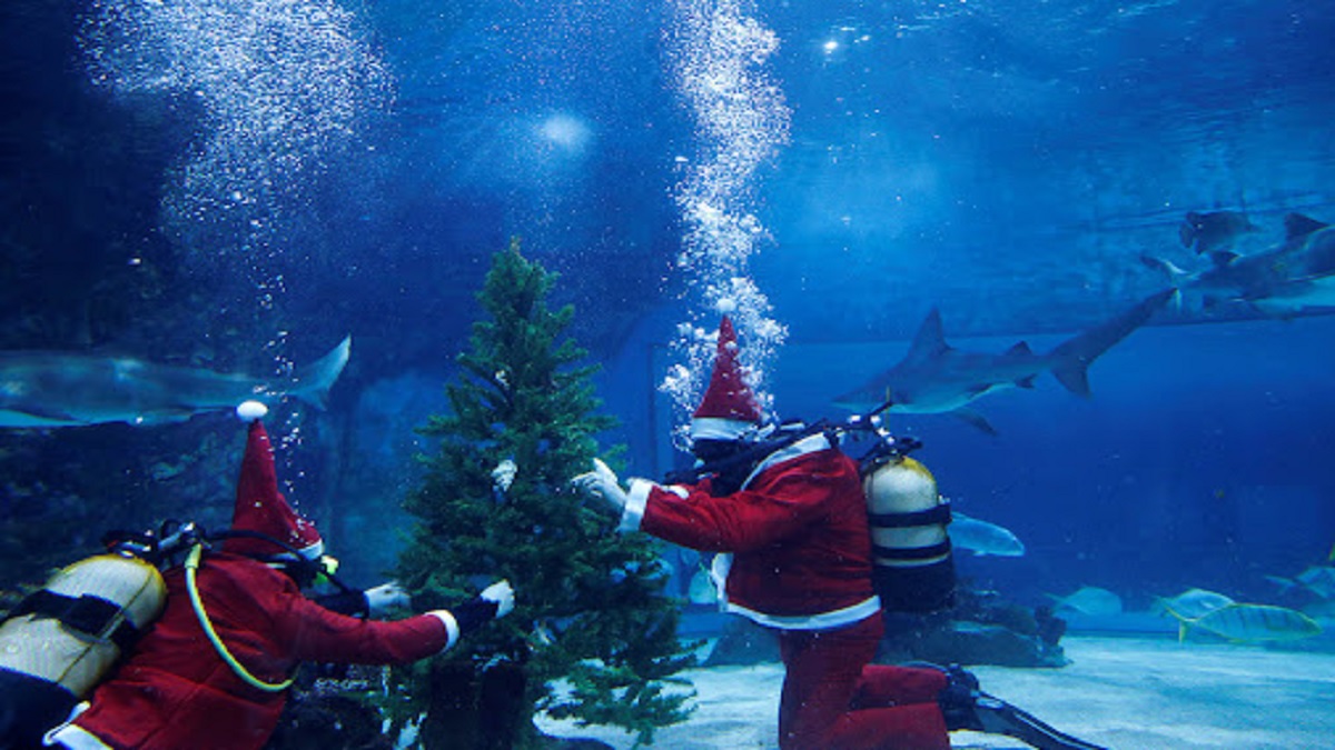 পানির নিচে ডাইভিং করলো সান্তা ক্লজ!