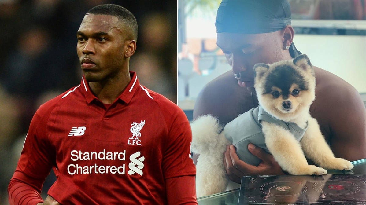 কুকুর ফিরে পেলেও দেননি প্রতিশ্রুত পুরস্কার; স্টারিজকে ২৫ লক্ষ টাকা জরিমানা