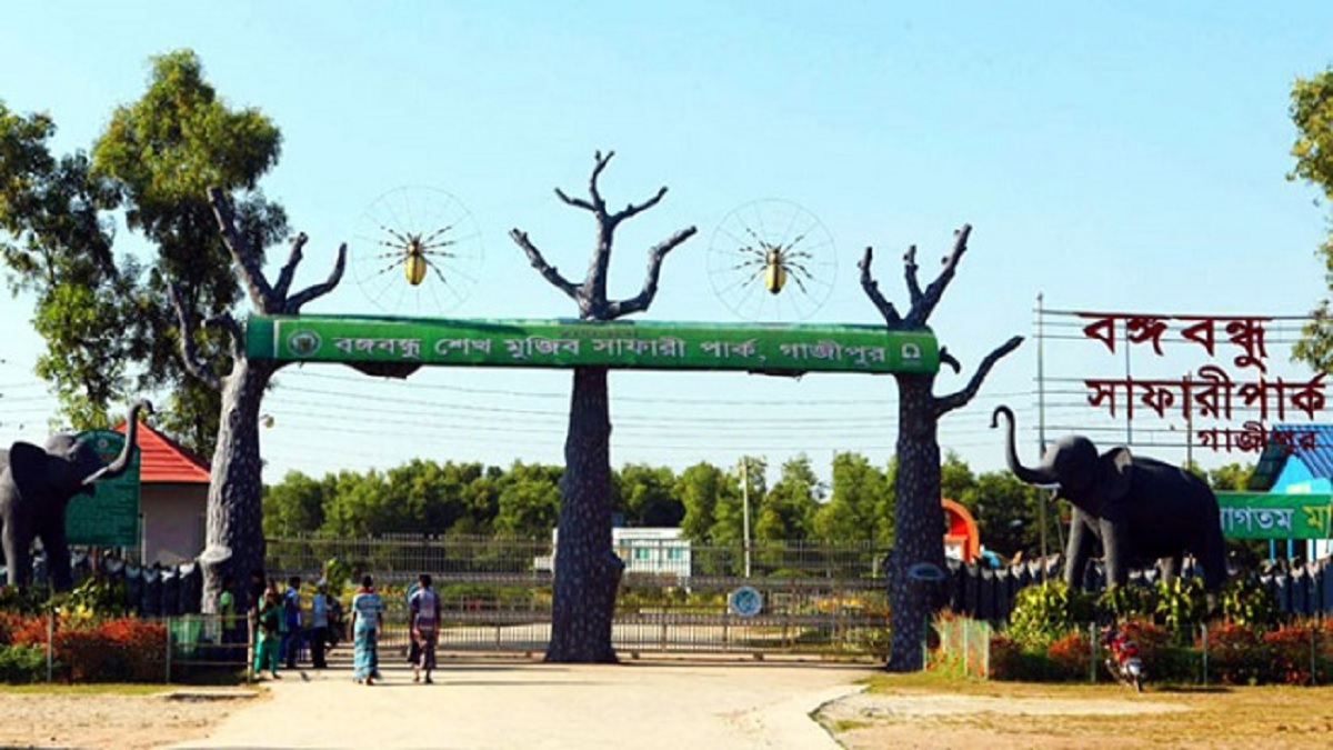 জেব্রা মৃত্যুর ঘটনায় বঙ্গবন্ধু সাফারি পার্কের ভারপ্রাপ্ত কর্মকর্তা প্রত্যাহার