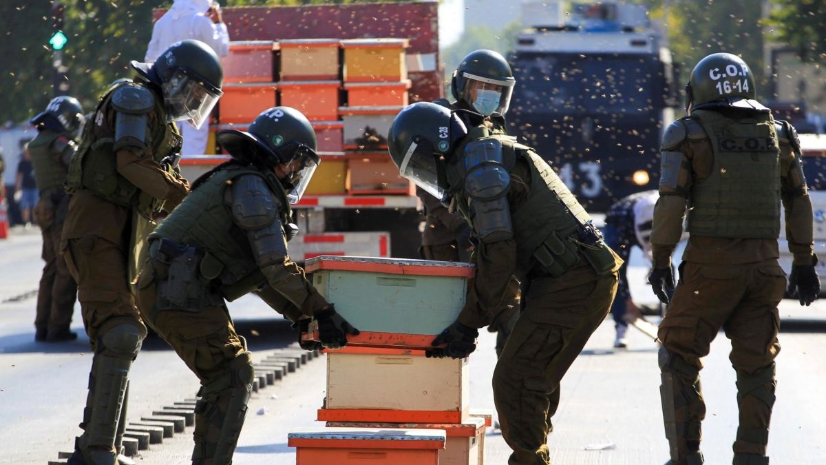 ১০ হাজার মৌমাছি নিয়ে প্রেসিডেন্ট ভবনের সামনে বিক্ষোভ