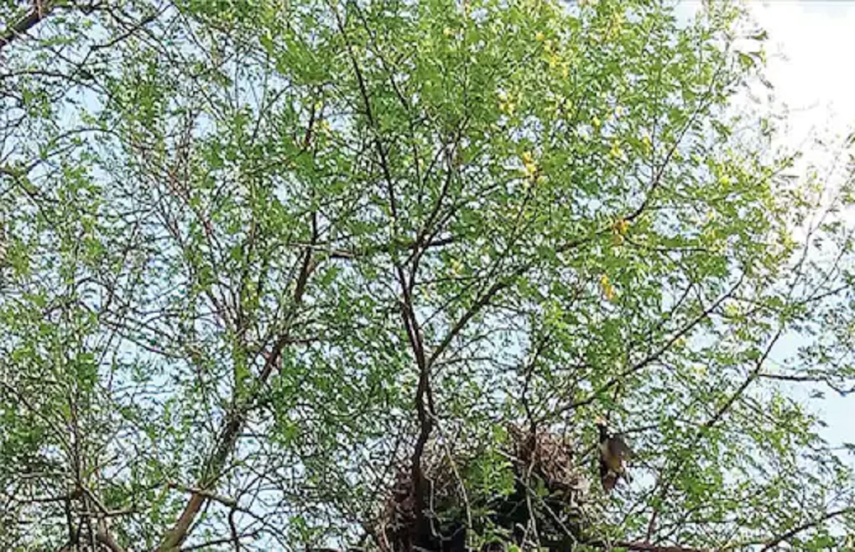 বস্তা থেকে বেরিয়ে এলো ছোট ছোট ৪৫ নিথর শরীর!