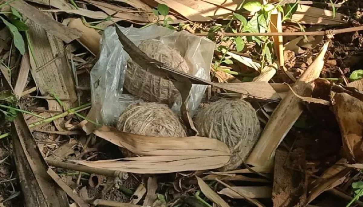 বল ভেবে খেলতে গিয়ে বোমা ফেটে আহত তিন কিশোর