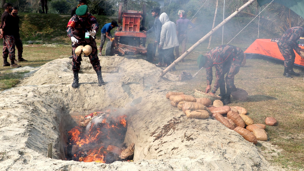 ঝিনাইদহে ৭১ লাখ টাকার মাদক ধ্বংস করল বিজিবি