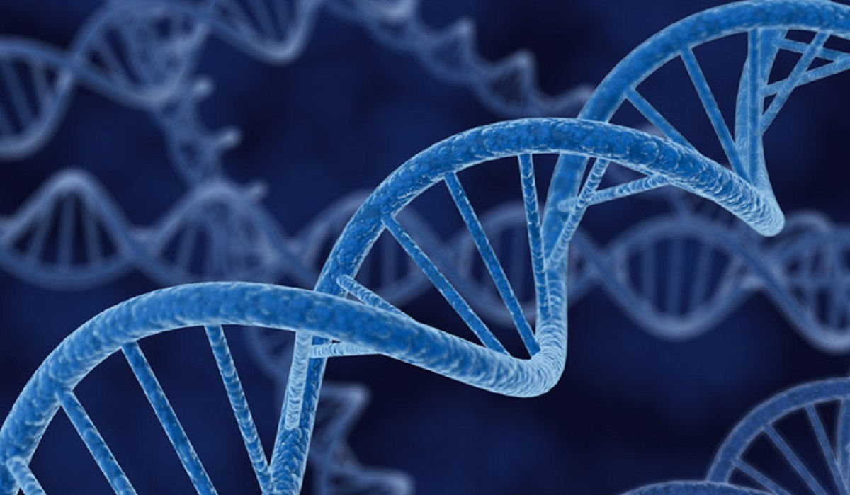 কোভিডকে ভয়াবহ করে তুলছে মানবদেহেরই একটি জিন: গবেষণা