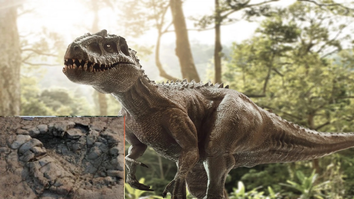 ২০ কোটি বছর আগের ডাইনোসরের পায়ের ছাপ পাওয়া গেলো