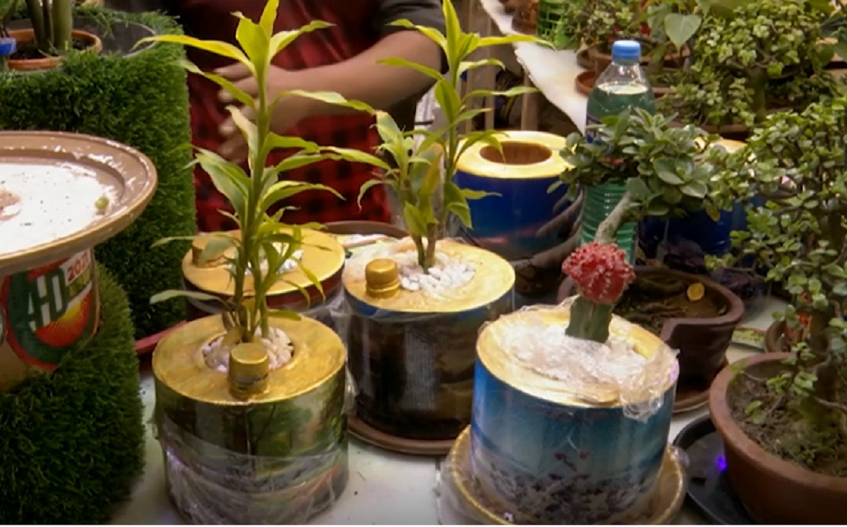 পানির ব্যবহার কমাতে বাণিজ্য মেলায় এলো ডিজিটাল টব