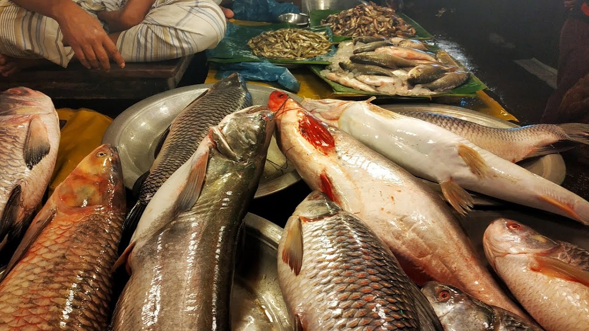 ছুটির দিন এলে বেড়ে যায় মাছের দাম