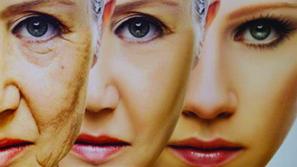 ডায়াবেটিস, বার্ধক্য রুখতে শুধু সঠিক খাবার নয়; খেতে হবে নিয়ম মেনে