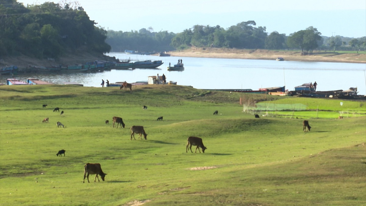 ক্ষমতাবানদের রক্তচক্ষু উপেক্ষা করে বিলের মালিকানা পেয়েছেন জেলেরা