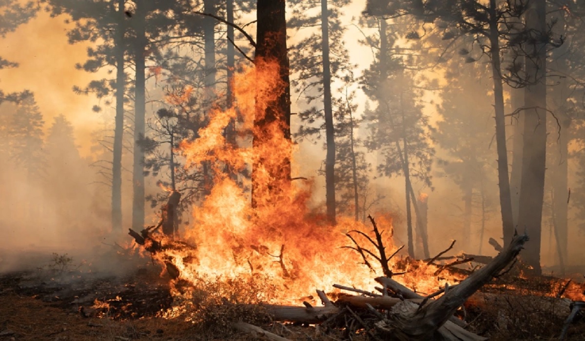 পৃথিবীর ইতিহাসে উষ্ণতম বছরের তালিকায় ২০২১