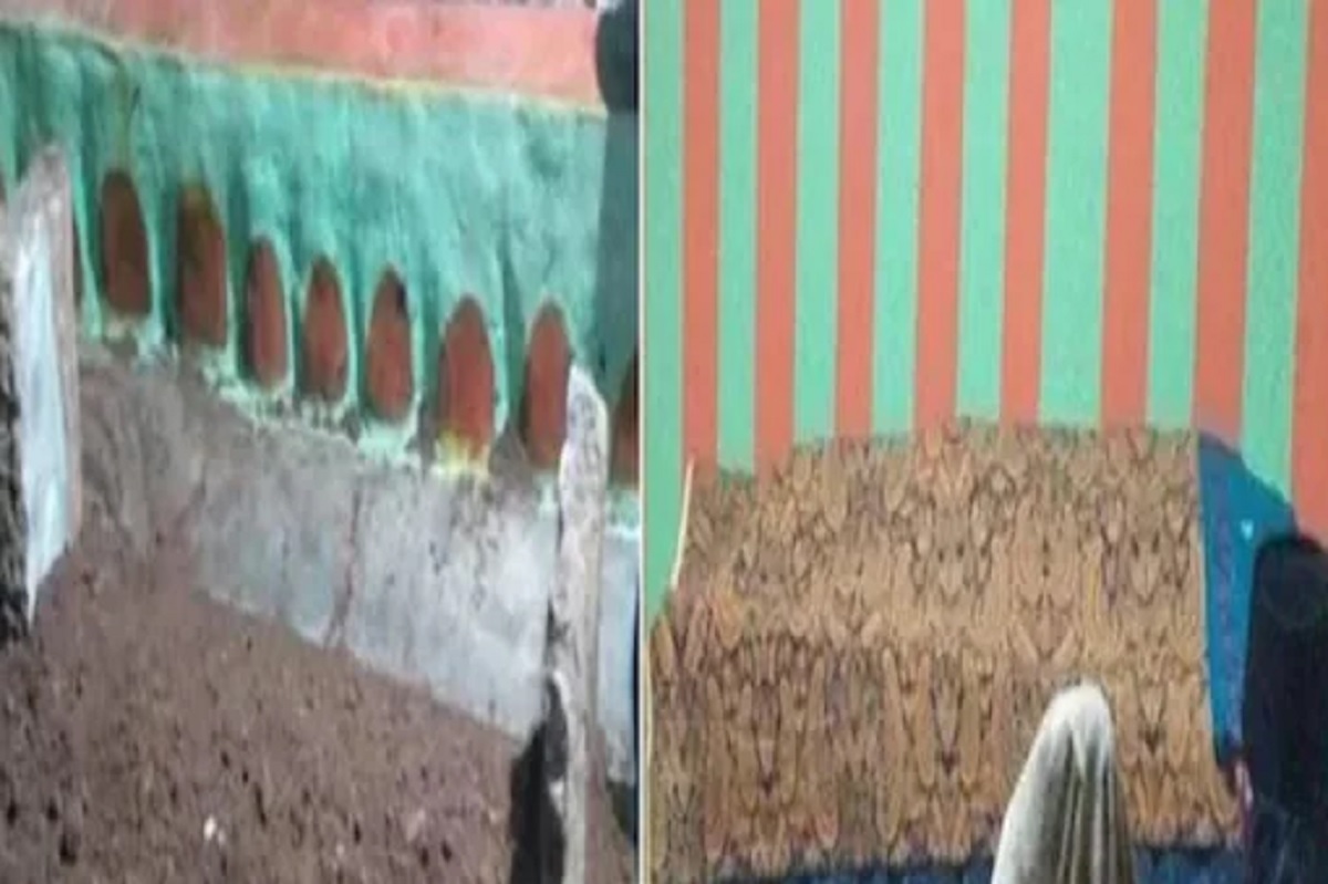 বেঁচে ওঠার আশায় দু’মাস মেয়ের মৃতদেহ ঘরে রাখেন মা-বাবা!