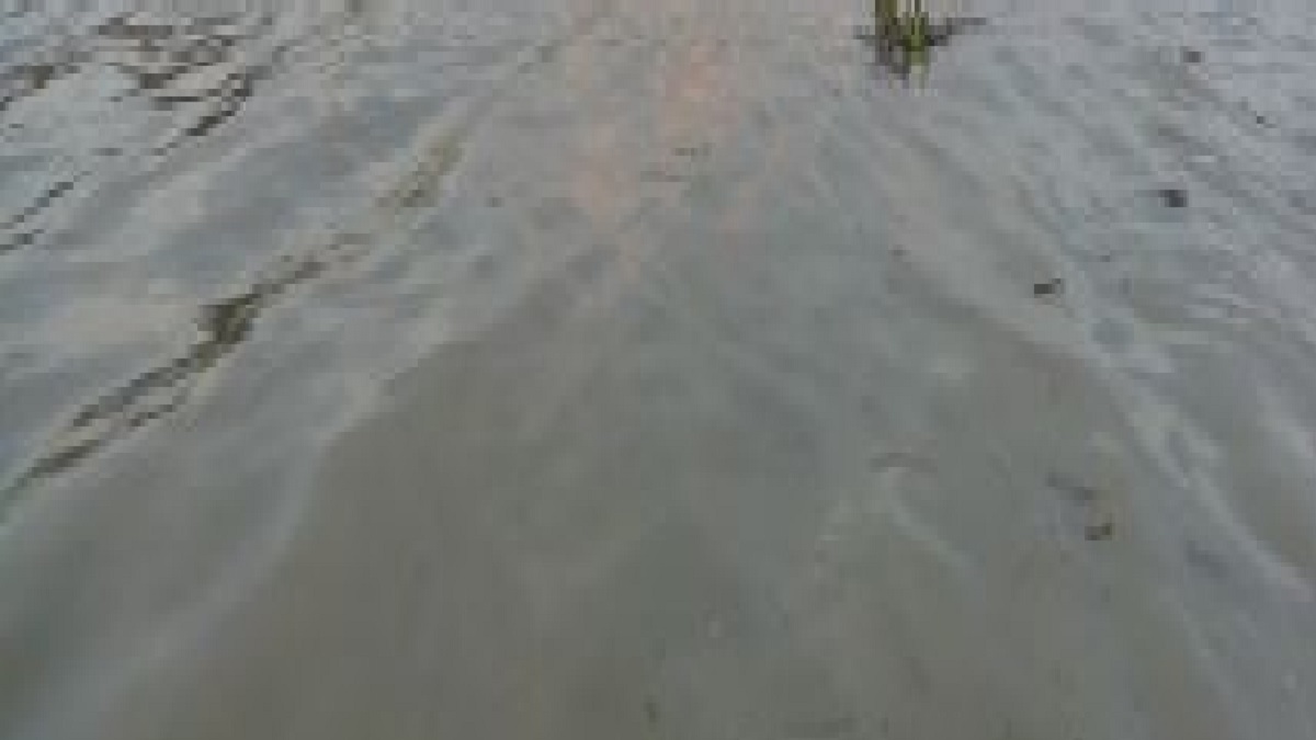 নিখোঁজের ৩ দিন পর কর্ণফুলী থেকে কিশোরের লাশ উদ্ধার