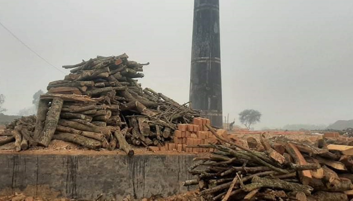 কুষ্টিয়ায় ১৭টি অবৈধ ইটভাটাকে ভ্রাম্যমাণ আদালতের ৪৩ লক্ষ টাকা জরিমানা
