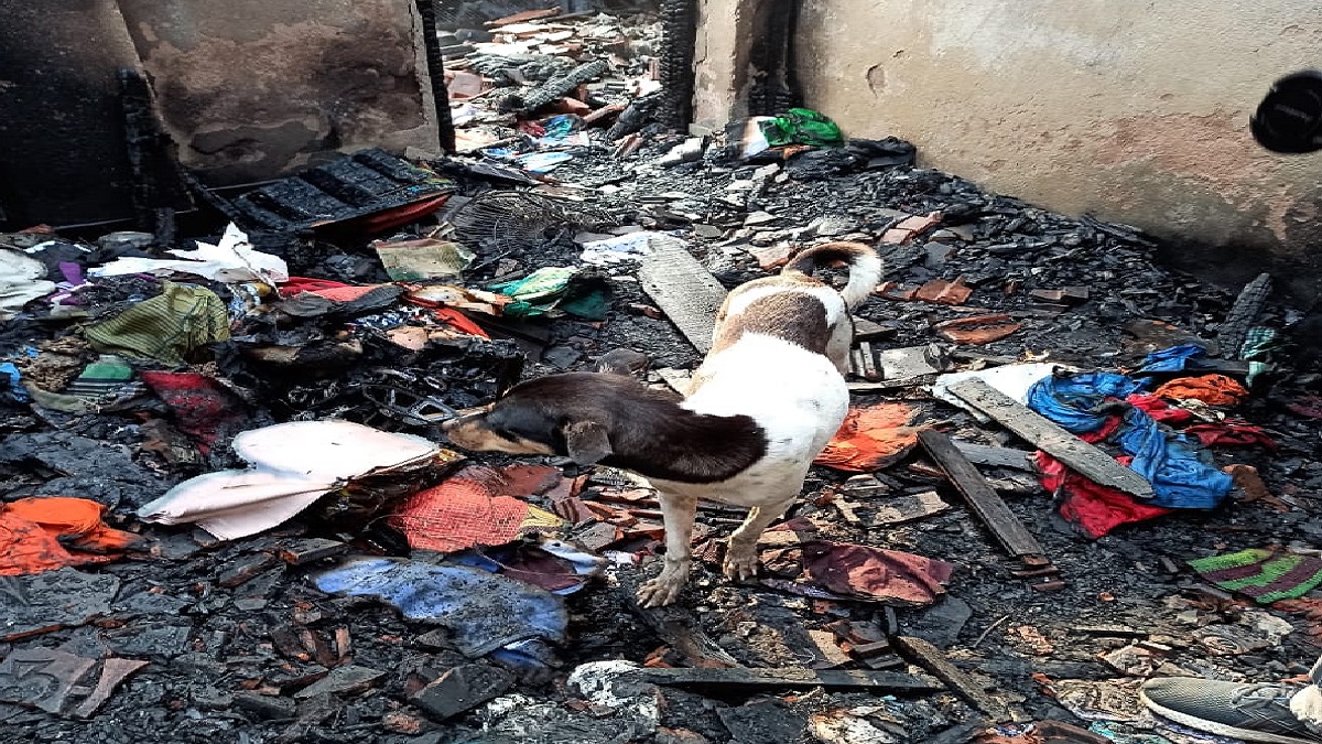 কোথায় আমার ৭ সন্তান? ধ্বংসস্তূপে পাগলের মত খুঁজে চলেছে মা