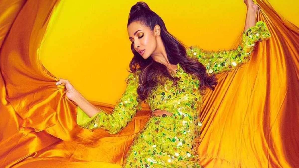 অর্জুনের সাথে বিচ্ছেদের গুজব উড়িয়ে দিলেন মালাইকা