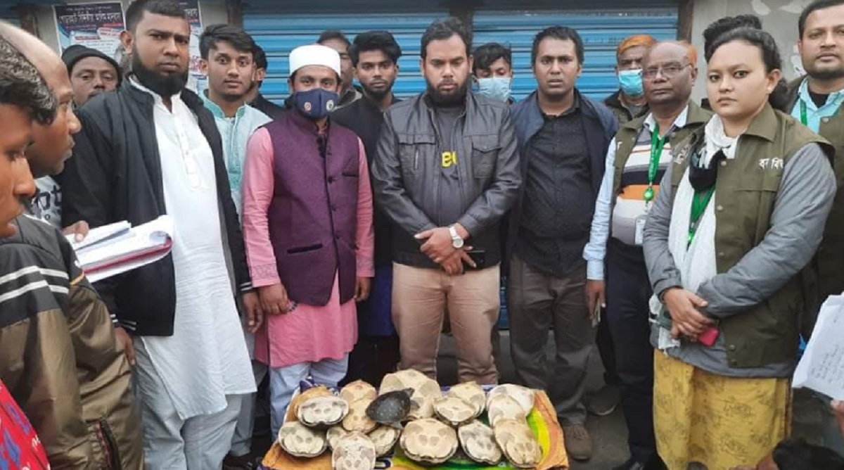 নীলফামারীতে ১৬টি সুন্ধি কাছিম উদ্ধার, দুই বিক্রেতা আটক