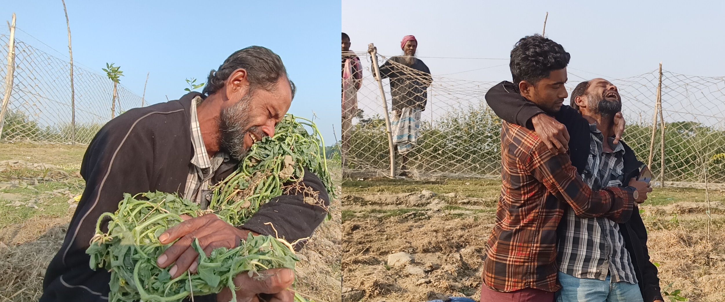 ১০ হাজার তরমুজ গাছ কেটে ফেললো পাউবো, সর্বস্বান্ত কৃষকের আহাজারী