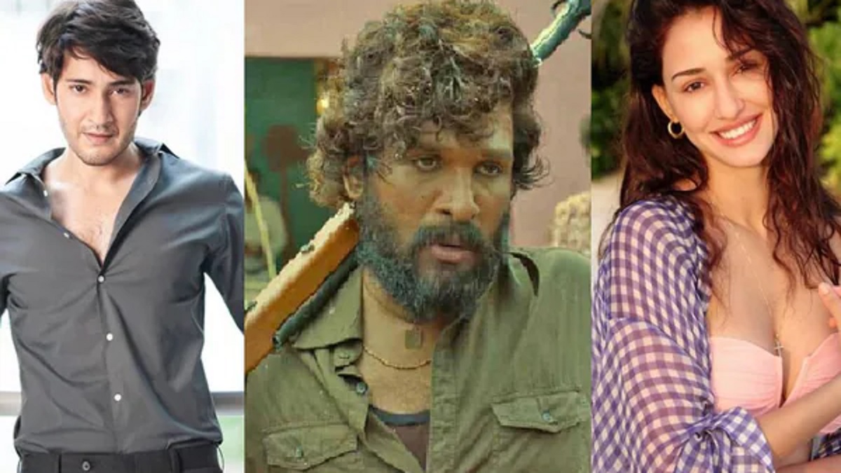 প্রস্তাব পেয়েও ‘পুস্পাতে’ অভিনয় করেননি যেসব তারকারা