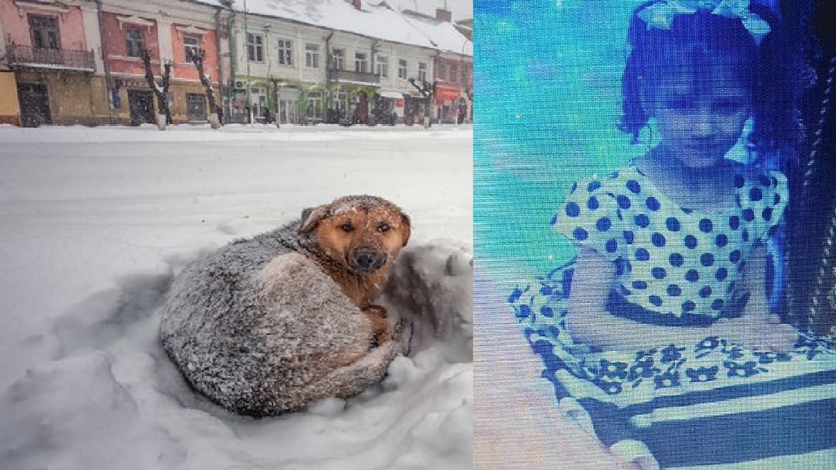 তুষার ঝড়ে কুকুর জড়িয়ে ধরে প্রাণে বাঁচলো ছোট্ট শিশু