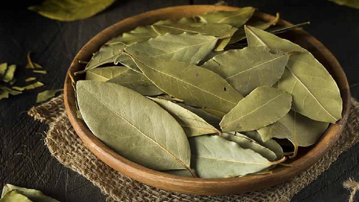 পাতাটি কমাবে অনেক ওষুধের ব্যবহার