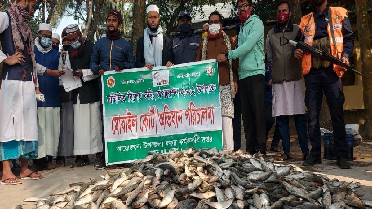 ভোলায় জাটকা সংরক্ষণ অভিযানে ২ লক্ষ টাকা জরিমানা