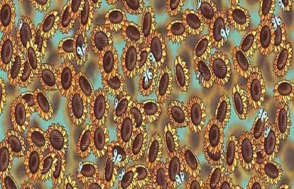 এই ছবিতে মৌমাছি খুঁজে বের করুন! অনেকেই ব্যর্থ হয়েছেন